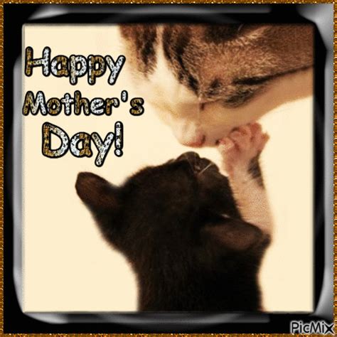 Kissing Cat - Happy Mother's Day Pictures, Photos, and Images for ...