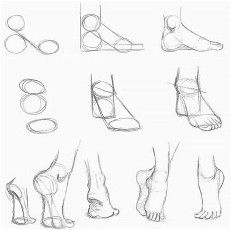 Human Anatomy Drawing Ideas and Pose References - Beautiful Dawn Designs