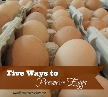 Five Ways to Preserve Eggs | PreparednessMama