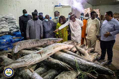 Sierra Leone’s President Julius Maada Bio Commissions $15 Million Fish Processing Plant – Cocorioko