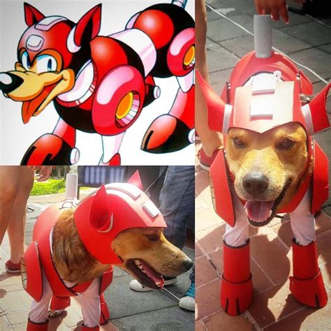 Mega Man Rush Dog Costume | ubicaciondepersonas.cdmx.gob.mx