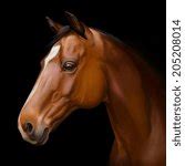 Chestnut Horse Painting Free Stock Photo - Public Domain Pictures