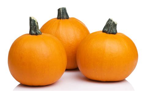 How to Process A Pumpkin For Fresh Fall Treats - Lehman's Country LifeLehman's Country Life