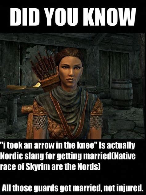 Skyrim My sister got mad at my brother for saying,"I took an arrow to the knee" incorrectly # ...