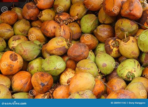 Pile of Coconuts, with Green, Orange, Brown Colors Stock Photo - Image ...