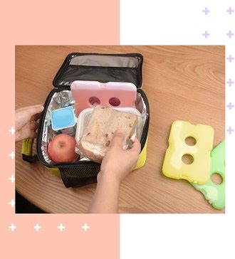 The Best Ice Packs For Lunch Boxes