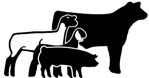 Show Cattle Silhouette at GetDrawings | Free download