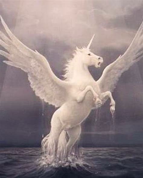 Pegacorn | Mythological creatures, Mythical creatures, Creatures