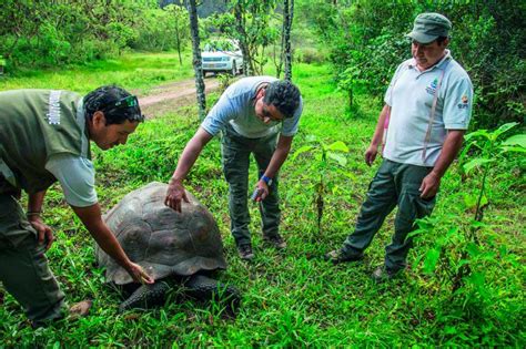 Galapagos National Park Rules - How to Protect the Archipelago