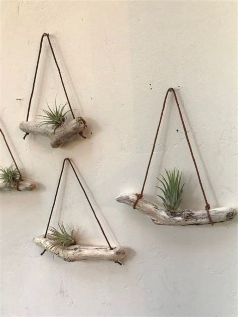 three air plants hanging from the side of a wall