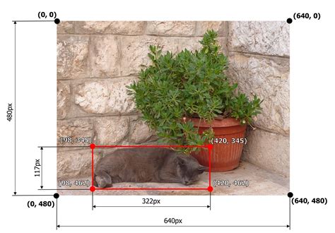 temporizator coniac Un anumit create bounding box opencv python Neted Cădere nervoasă Samuel