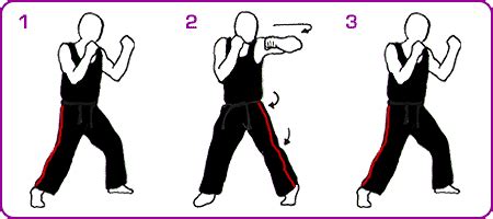 physical-arts.com -training - hook punch technique