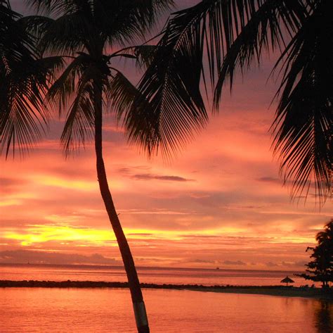 sunset in the caribbean | Sunset, Outdoor, Caribbean