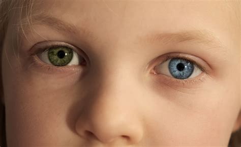 8 best eye color chart genetics images in 2020 eye color chart eye - why eyes have different ...