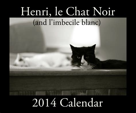 Cat Wisdom 101 | Henri le Chat Noir Giveaway and Q & A with Will Braden | Le chat noir, Noir, Cats