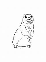 Gopher coloring Pages sketch template