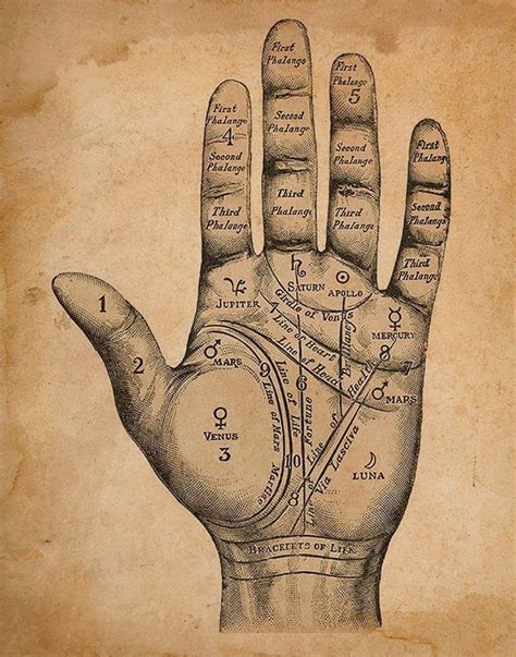 Palmistry Hand Palmistry Print Palm Reading Fortune Teller Print Palm Reader Palmistry Poster ...