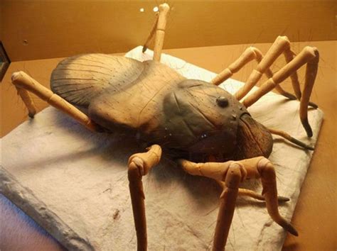 a fake insect sitting on top of a towel