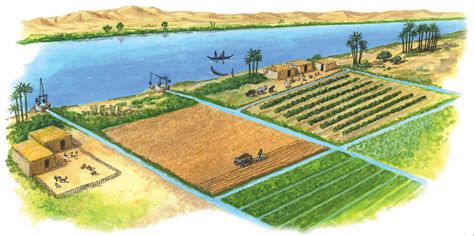 El bancalico del Cervantes: AGRICULTURA EN MESOPOTAMIA