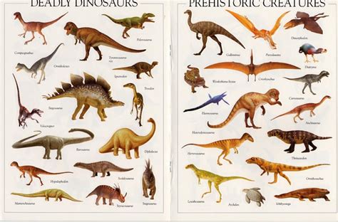 Dinosaur, Dinosaur coloring, Animals