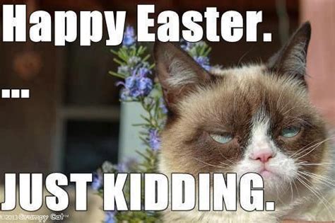 42 best images about Grumpy Cat Easter on Pinterest