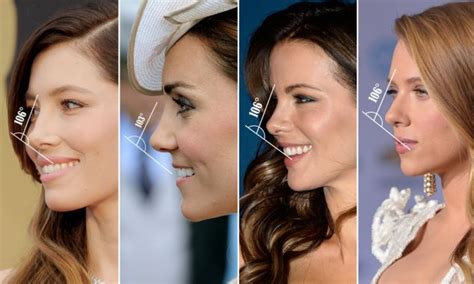 Celebrity Noses Profiles