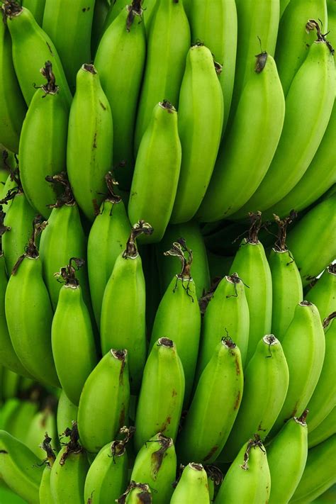 HD wallpaper: close-up photo of bunch of green banana fruits, tropical, group | Wallpaper Flare