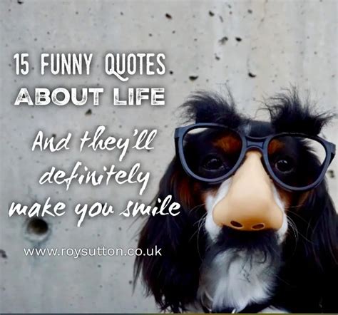 15 funny quotes about life that'll make you smile - Roy Sutton