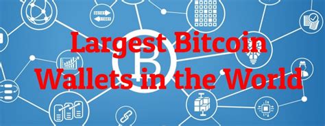 8 Largest Bitcoin Wallets in the World - Largest.org