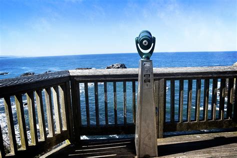 Newport Oregon - Whale Watching Photograph by Image Takers Photography LLC - Carol Haddon - Fine ...