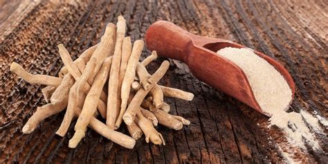 Ashwagandha Plant Benefits, Dosage, and Side Effects - Superfoodly