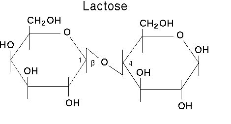 Лактоза - это... Что такое Лактоза?