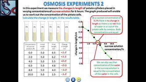 OSMOSIS EXPERIMENTS - YouTube