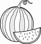 Watermelon Coloring Pages  Best For Kids sketch template