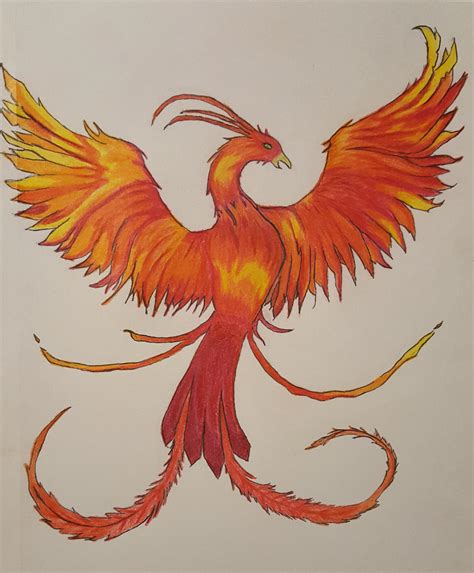 Getting back into drawing slowly. Took me 2 days to finish this Phoenix ...