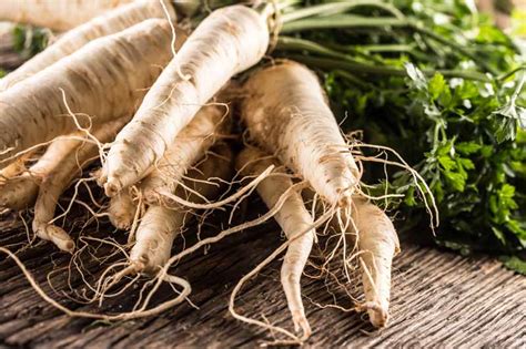 8 parsnips companion plants and what should you avoid