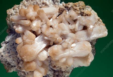 Stilbite crystals - Stock Image - C013/9426 - Science Photo Library