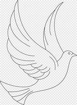 Coloring Book Line Art Drawing Bird DOVE White Animals png  PNGEgg sketch template