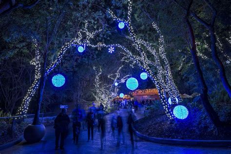 Vote - L.A. Zoo Lights at the Los Angeles Zoo - Best Zoo Lights Nominee: 2018 10Best Readers ...