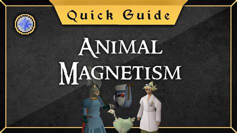 [Quick Guide] Animal Magnetism - YouTube