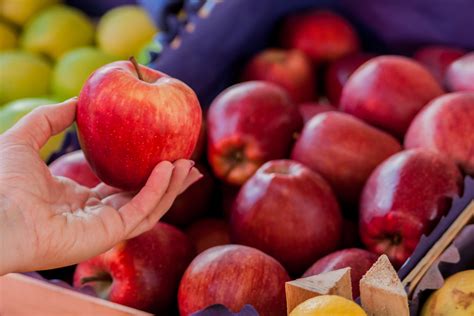 The Rich Diversity of Indian Apples: A Journey Through Unique Apple ...