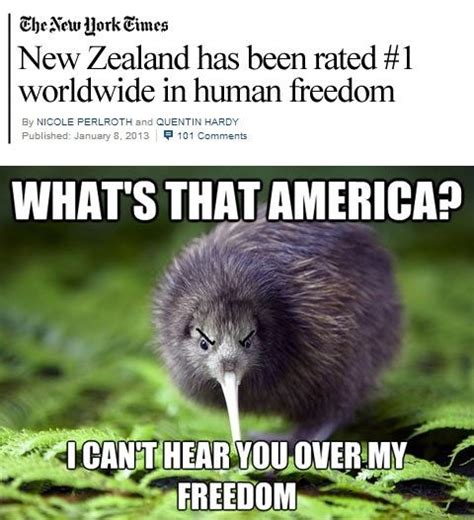 New Zealand FTW. | Funny pictures, Funny memes, Best funny pictures