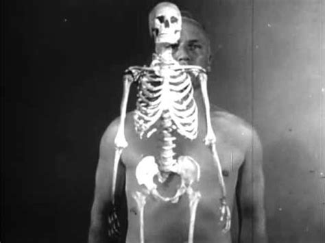 Human skeleton, structure and joints. Part one. (1951) - YouTube
