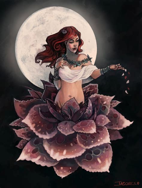 Midnight Rose by fallen-eye on DeviantArt