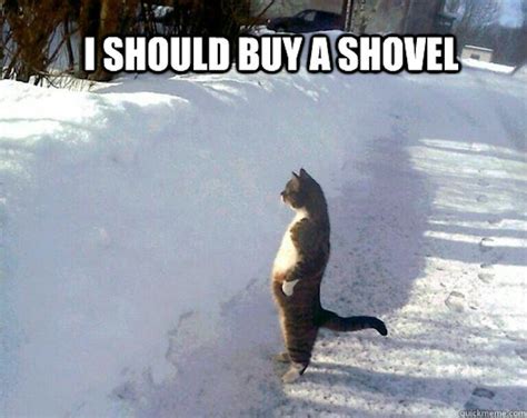 16 Epic Snow Shoveling Memes To Help You Laugh Through The Pain Of ...