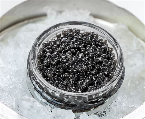 Beluga Caviar is Available Again! | Newswire