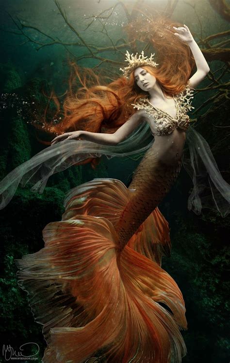 Wow, beautiful Mermaid | Mermaid artwork, Fantasy mermaids, Mermaid art