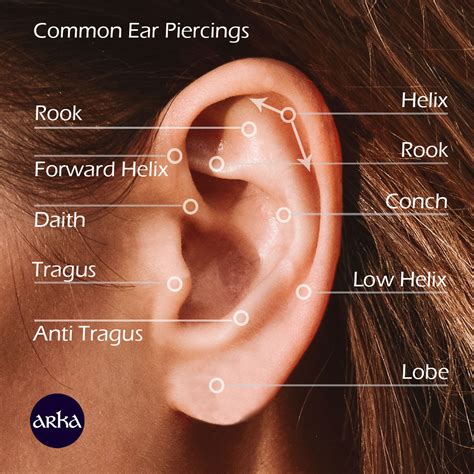 Types Of Ear Piercings, Ear Piercing Chart, IPad Case Skin | ubicaciondepersonas.cdmx.gob.mx