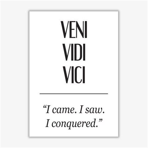 'Veni Vidi Vici' Textual Art East Urban Home Format: No Frame, Size: 85 cm H x 60 cm W x 1 cm D ...