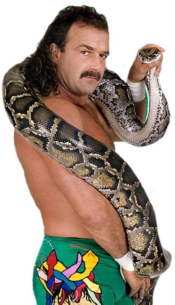 Jake 'The Snake' Roberts WWE 2K18 Render by NuruddinAyobWWE on DeviantArt